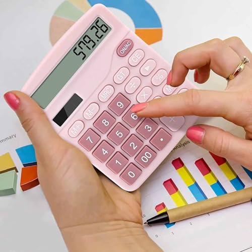 PUNGLTD Pink Office Desk Calculator - Large Display, Dual Power, Basic Financial Functions