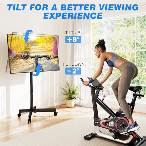 Rfiver Black Mobile TV Cart for 23-65 Inch TVs, Tilting Height-Adjustable Rolling Stand, Holds up to 88 lbs, Outdoor Floor TV Stand with Swivel Wheels