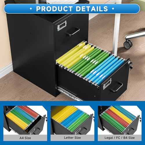 2 Drawer File Cabinet with Lock Vertical Filing Storage Cabinet Office Home Steel Vertical File Cabinets for Letter Size File Cabinet Locked,Assembly Required