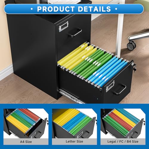 BYNSOE Black 2-Drawer Locking File Cabinet - Vertical Steel Office Storage, 25.39"H