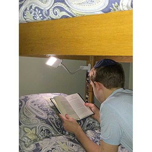 SHABBOSLITE¢ç Clip-on LED Lamp White