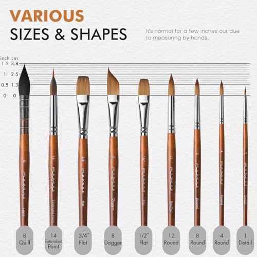 Watercolor Brushes Professional, Fuumuui 9pcs Sable Paint Brushes & Natural Squirrel Mop Brush Set with Extended Needle, Round Point, Flat, Dagger, Quill Wash for Watercolor Gouache Inks