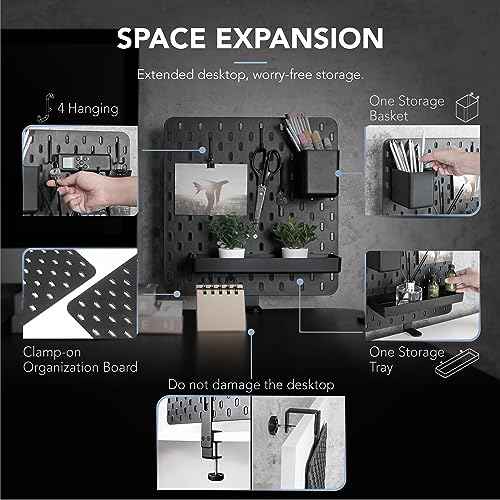 EHO Clamp-On Desk Pegboard, 13.5 x 14 inch Privacy Divider, Desk Partition Panel, No-Drill Desk Mounted Organizer, Combination Peg Board for Office, Gaming, Home, Plants, Black