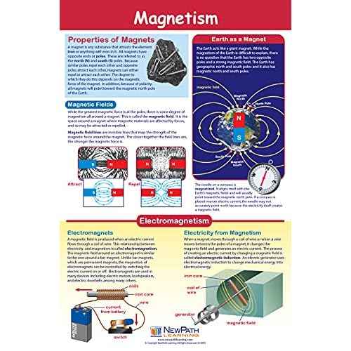 NewPath Physical Science Posters, Set/5 (Forces/Motion, Electricity, Magnetism, Sound, Light) - Laminated, Full-Color, 23" x 35" (34-9901)