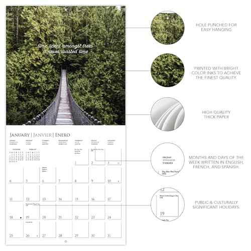 Graphique 2026 Into the Woods Wall Calendar | 12¡± x 12¡± | Thick Paper | Home & Office Organizer | Large Monthly Grid | 3 Languages & Marked Holidays | 4 Month Preview Page for 2027