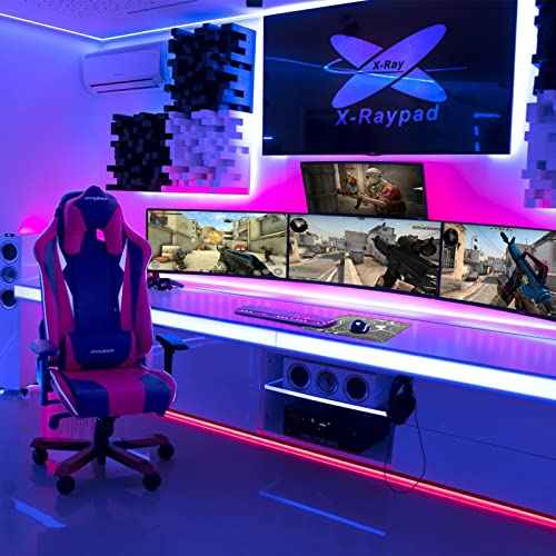 X-Raypad Aqua Control Plus ROB Gaming Mouse Pad, Ultra-High Precision Mouse Pad with Perfect Speed and Control Capability, Consistent X and Y Glide, Designed for Fps Players with Low DPI Requirements