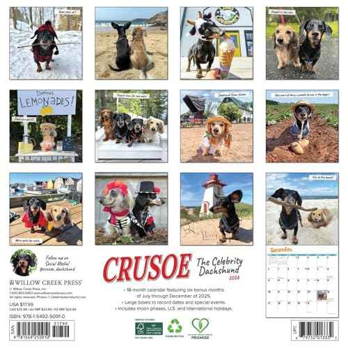 Willow Creek Press, Crusoe the Celebrity Dachshund 2026 Wall Calendar, 12'' X 12'', 18-Month Calendar with Stapled Binding