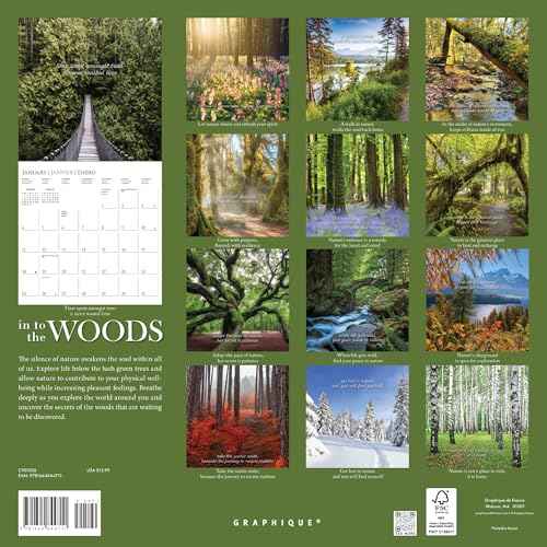 Graphique 2026 Into the Woods Wall Calendar | 12¡± x 12¡± | Thick Paper | Home & Office Organizer | Large Monthly Grid | 3 Languages & Marked Holidays | 4 Month Preview Page for 2027