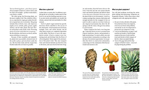 What's Wrong With My Plant? Visual Guide to Diagnosis & Organic Remedies