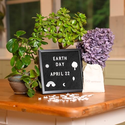 Winsharp All Black Felt Letter Board 10x10 inch with Wooden Frame and Stand