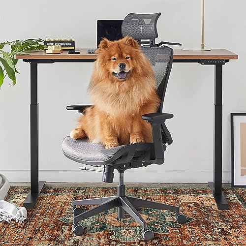 Anidaroel 48"x60" Chair Mat for Hardwood Floor/Tile Floor, Desk Chair Mat for Hard Floors, Under Desk Rug Protector for Rolling Chair, Computer Gaming Chair Mats, Low Pile Carpet Floor Mat