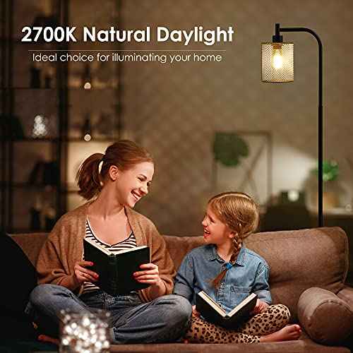 BoostArea Industrial Floor Lamp, Standing Lamp with Hanging Iron Mesh Lamp Shade, 6W LED Bulb, Whole Metal Farmhouse Floor Lamp with Foot Switch, Rustic Floor Lamps for Living Room Bedroom, Black