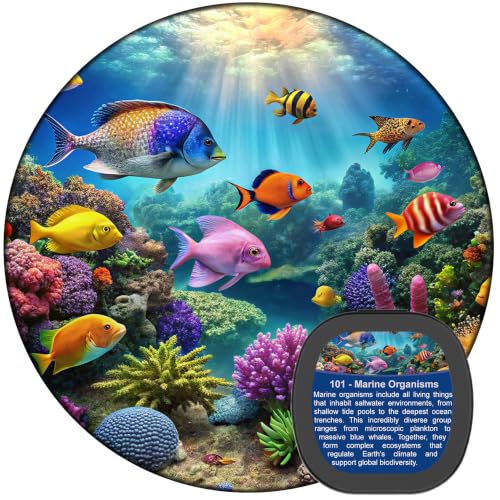 Sunbox Ocean-Themed Galaxy Projector Replacement Discs 6-Pack 4K HD