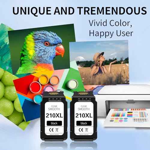 210xl Black Ink Cartridge High Yield Replacement for Canon PG210 PG-210 210XL Black Ink Cartridges for PIXMA MX410 IP2700 IP2702 MP240 MP250 MP495 MX340 Printer(2Black)