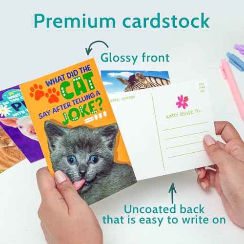 T MARIE 40 Funny Animal Joke Postcards with No Repeats - 4x6¡± Humorous Bulk Thinking of You Postcards for Kids, Grandkids, Students, and Teachers, Summer Camp, Lunchboxes and More
