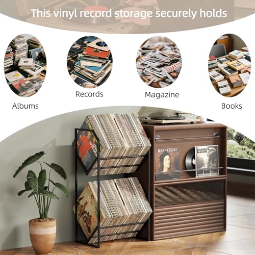 PAPAGIFTREE 2 Tier Vinyl Record Storage Rack - Holds up to 200 LPs, Metal Display Shelf with Adjustable Dividers