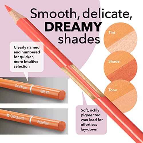 Castle Art Supplies 48 Pasteltint Coloured Pencils Set with Extras | Quality Colours in Softer, Sumptuous Tones | For Professional and Adult Artists | In Neat, Strong, Zipper Travel Case