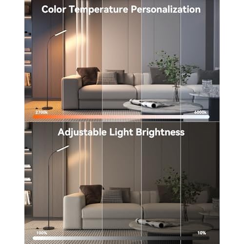 Floor Lamp - Bright 15W LED Floor Lamp with Remote & Touch Control - Stepless Dimming & Color Temperature Adjustable, Eye-Caring Standing Lamp with 1H Timer, Gooseneck Design for Living Room, Bedroom