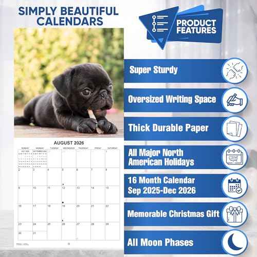 2026 Pugs Monthly Wall Calendar | Dog Calendar 2025-2026