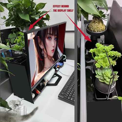 External Case for Desktop Monitor - Desk Organizer - Acrylic Organizer for All Small Office Storage Items (Straight Edge, 11 inch)
