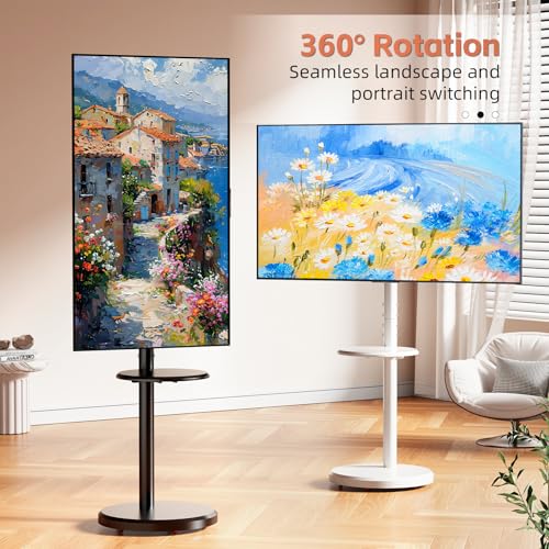 Small Mobile TV Stand for Most 10-48 Inches