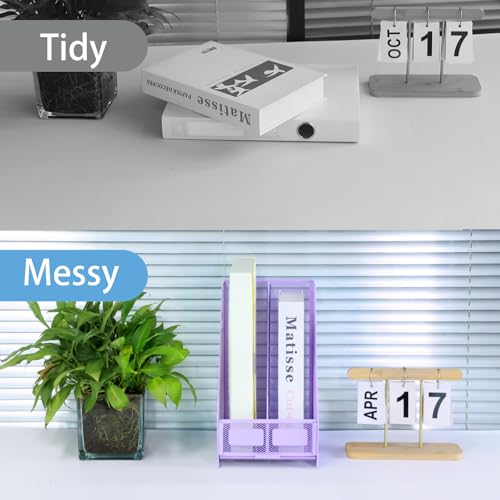TSDRBWO 2 Vertical Compartments Purple Metal Desk Organizer for Home & Office