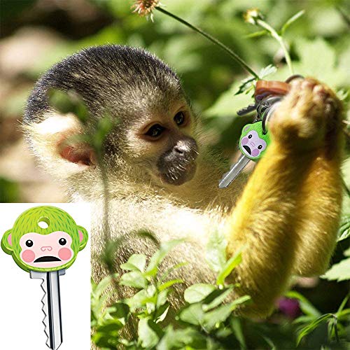 Monkey Key Caps - 6 Pcs Cute Multicolor Covers for Standard Keys