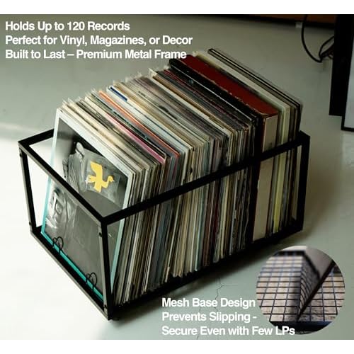 Mobile Vinyl Record Storage Rack with Welded Mesh Bottom ? Holds Up to 120 LPs, Sturdy Metal Frame, Modern Design, Portable LP Organizer, LP Holder