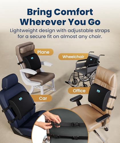 Everlasting Comfort Lumbar Support Pillow for Office Chair & Car - Black Mesh