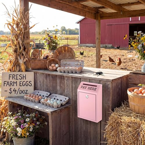 Yaocom Pink Metal Cash Box 10.2 x 5.7 x 2.8 Inch with Keys for Retail & Security