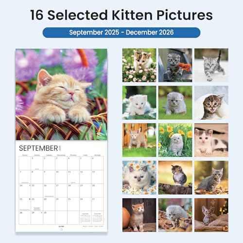 SUNEE Wall Calendar 2026, Kittens Calendar From September 2025 to December 2026, 12"x24" Opened, Cute Cat Theme Large Calendar 12"x12" for Organizing & Planning