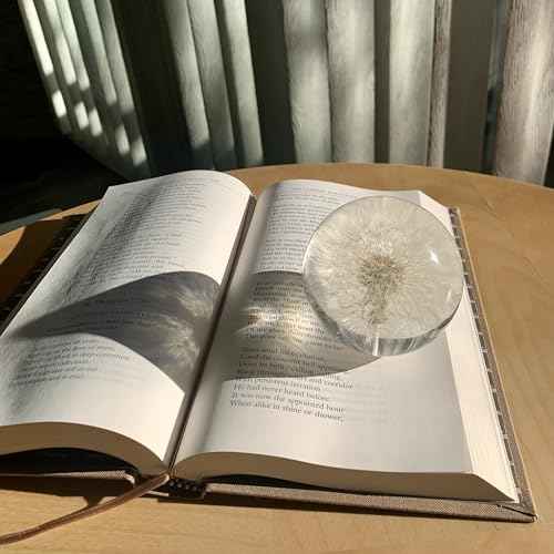 Real Dandelion Paperweight - Home Decor Crystal Resin Ball 3.14in (80mm) - Clear Resin Dandelion Flower Globe for Special Days - Sphere Figurine Office Paperweight w/Flat Bottom