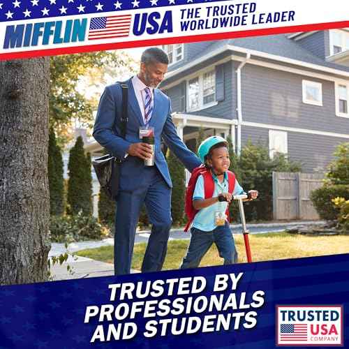 Mifflin-USA Large (L) Vertical ID Badge Holders (Clear, 3x4 inch, 250 Pack), Plastic Nametag Covers with Zipper, Name Tag Holder