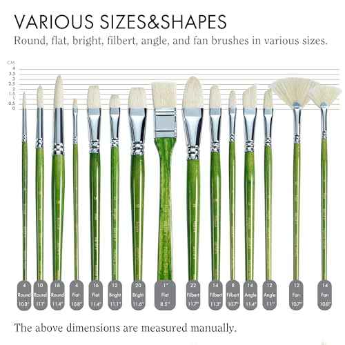 ARTIFY 15-Piece Professional Oil Paint Brush Set - Natural Hog Bristle, No-Shedding, Handcrafted by Masters for Oil/Acrylic/Gouache/Watercolor Painting (Includes Carrying Case)