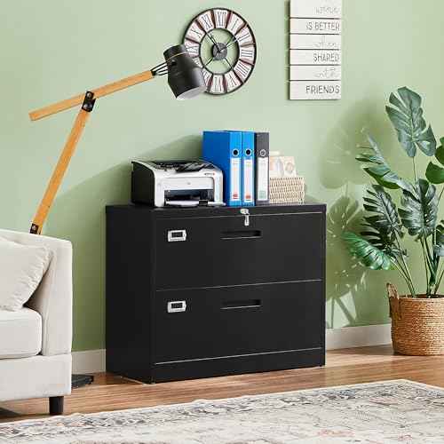 Letaya Metal Lateral File Cabinets with Lock,2 Drawer Steel Wide Filing Organization Storage Cabinets,Home Office Furniture for Hanging Files Letter/Legal/F4/A4 Size (Blcak-2 Drawer)