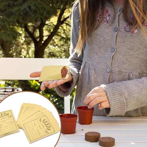 100Pcs Seed Envelopes with Self-Adhesive Seal - Brown Paper Seed Storage Pack