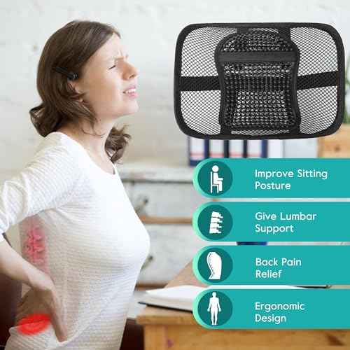 Samyoung 2 Pack Mesh Back Lumbar Support, Back Support Seat Cushion with Breathable Mesh for Office Chairs Car 12¡± x 16¡±