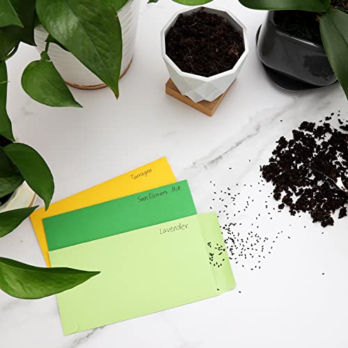 Multicolor 100 Pack Cash Envelopes 6.7x3.5 for Budgeting & Saving, 120 GSM Thick Paper