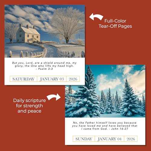 2026 Verse A Day Bible Calendar | 365 Christian Verses from the NIV Bible to Inspire Your Daily Devotional, Positive Motivational & Inspirational Daily Verses for Men & Women to Inspire Your Walk With God