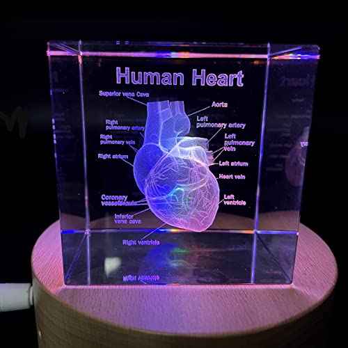 3D Human Heart with Labels Anatomical Model Paperweight(Laser Etched) in Crystal Glass Cube Science Gift (Included LED Base)