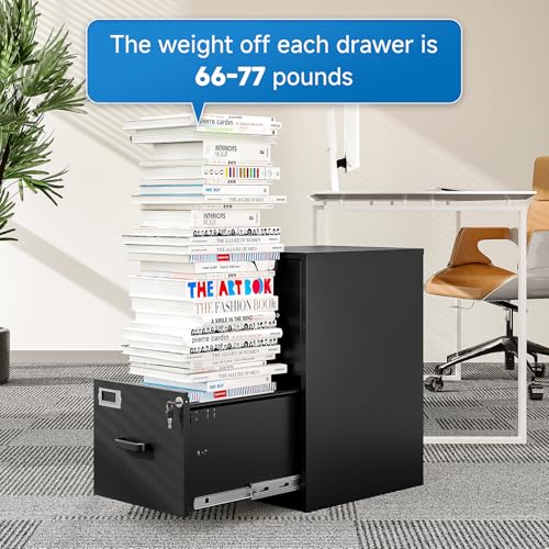 BYNSOE Black 2-Drawer Locking File Cabinet - Vertical Steel Office Storage, 25.39"H