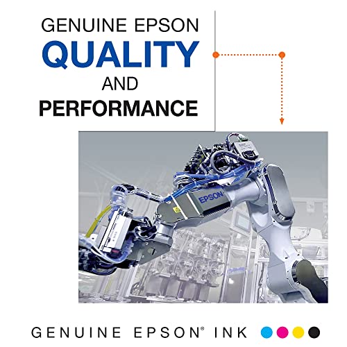 EPSON 273 Claria Ink High Capacity (T273XL020-S) Works with Expression Premium XP-520, XP-600, XP-610, XP-620, XP-800, XP-810, XP-820