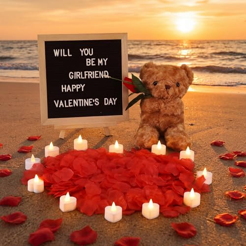 Ceenna Will You Be My Girlfriend Letter Board Sign Set with Bear & Red Variations