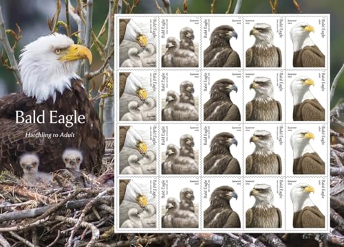 United States Bald Eagle Forever Postage Stamps Sheet of 20 - 2026