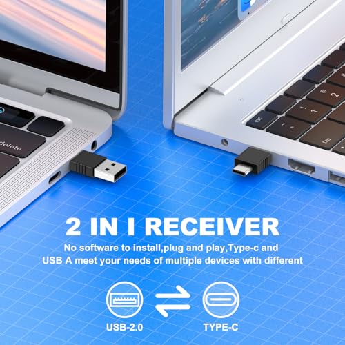 DinoFire Black USB-C Wireless Presentation Remote Clicker with Red Pointer for Mac & PC