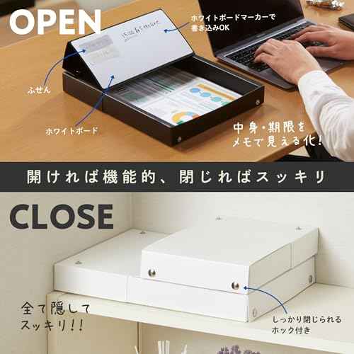 Raymei Fujii VPP1291B Desk Tray, Desktop Storage, Memory Tray, Large, Black
