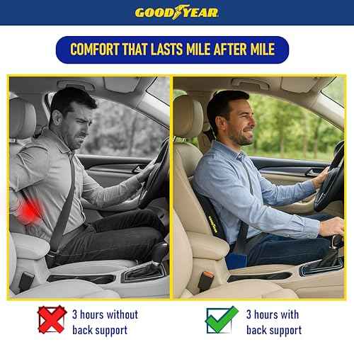 Goodyear Lumbar Support Pillow for Office Chair and Car Seat - Memory Foam Lumbar Pillow & Back Brace Support Posture Corrector, Lower Back Pain Relief