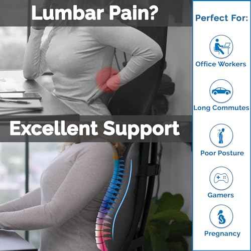 ComfiLife Lumbar Support Pillow for Office Chair ? Premium Memory Foam Lumbar Pillow ? Back Support for Office Chair, Car ? Back Pain Relief, Improves Posture ? 3 Adjustable Straps, Mesh + Leatherette
