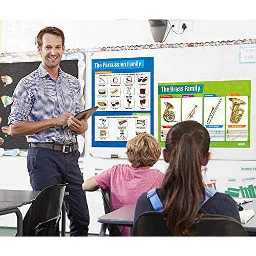Daydream Education Instrument Family Orchestra Music Posters for Classroom - Set of 6 - Gloss Paper - EXTRA LARGE - 33" x 23.5" - Music Middle & High School Class Decoration - Wall Charts