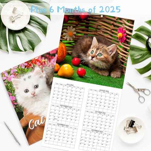 2026-2027 Calendar - 18 Monthly 2026-2027 Wall Calendar from Jan. 2026 - Jun. 2027, Cat Calendar with Unruled Blocks, 12" x 24"(Open) Wall Calendar for Office School Home Planning
